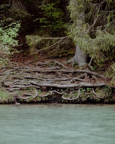 Gralhof - Weissensee